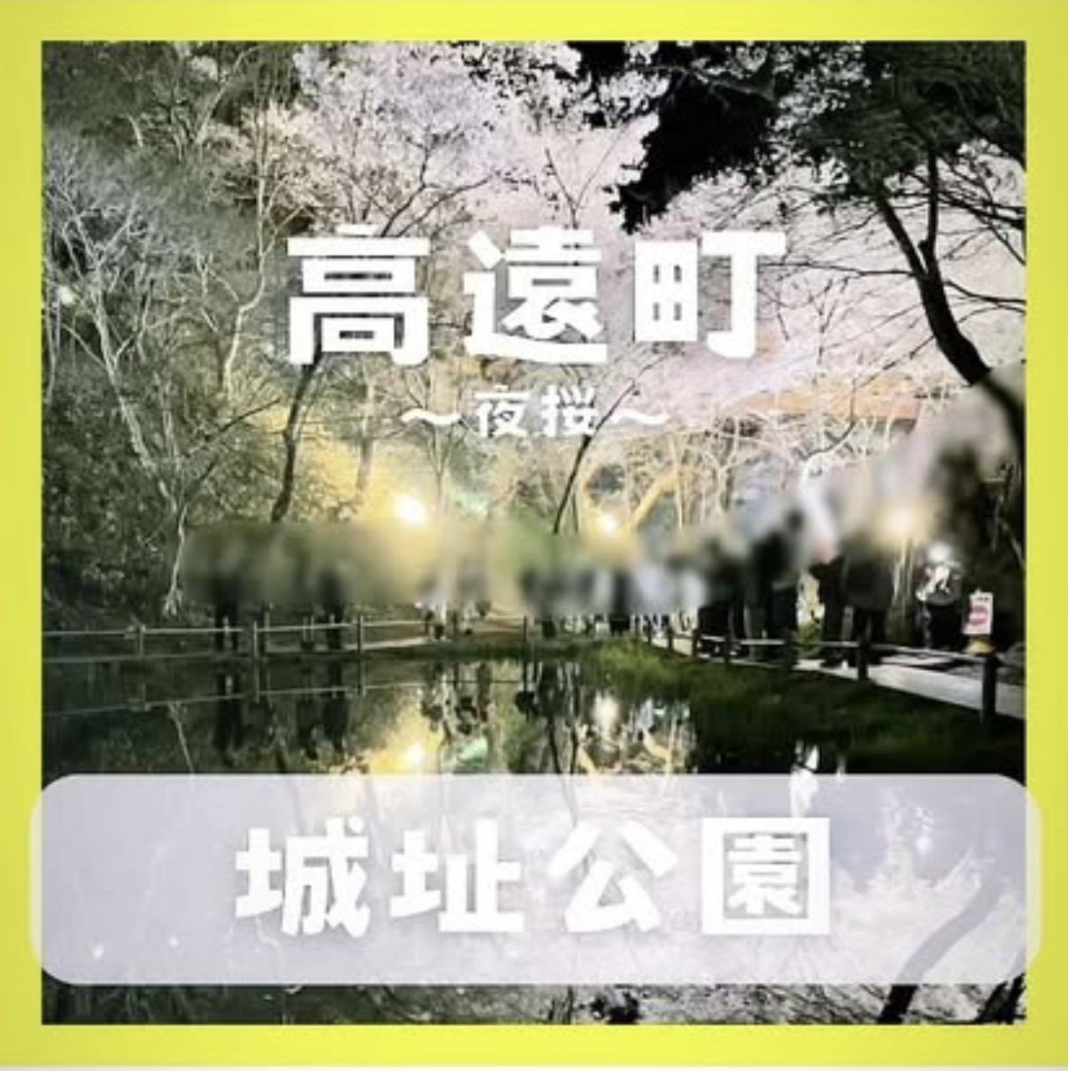 高遠城址公園夜桜