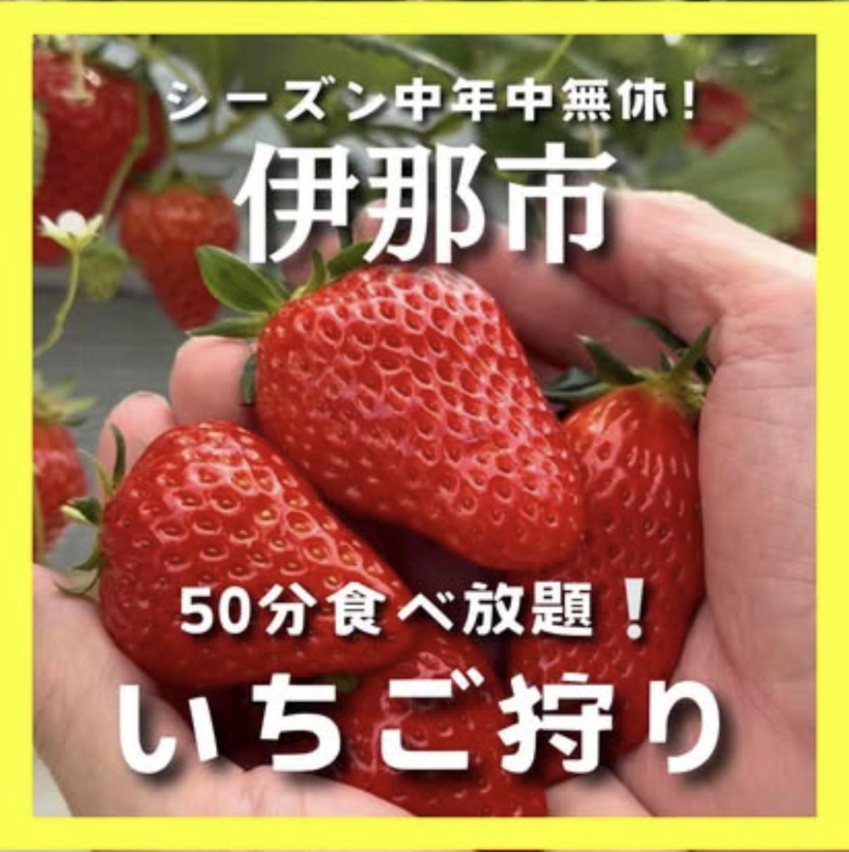 みはらしファーム【いちご狩り】